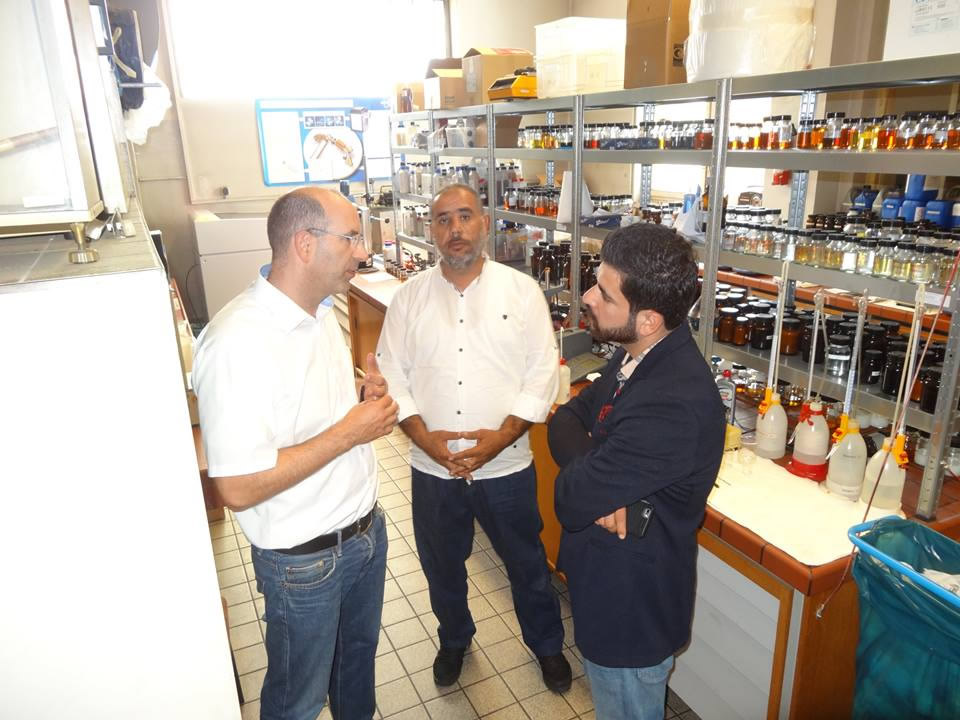 德国Swd机油国外素材35