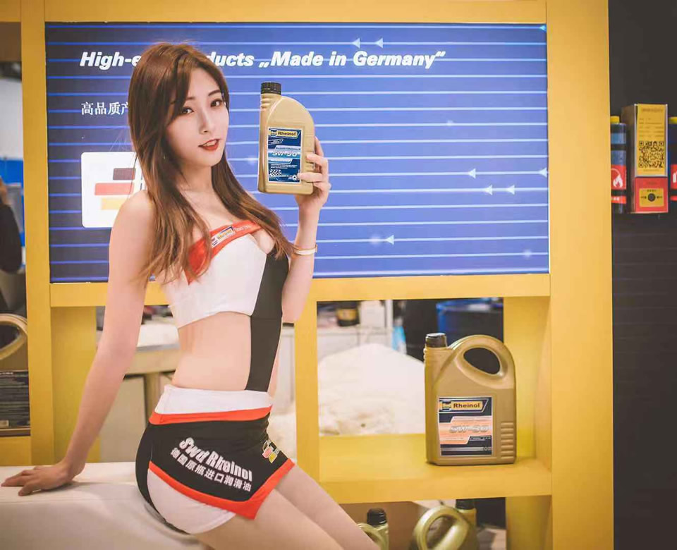 德国Swd机油展会图片21