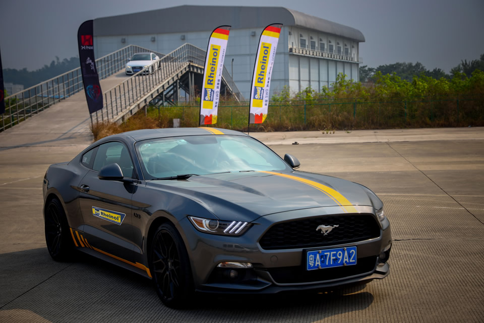 德国Swd机油塞车图片13